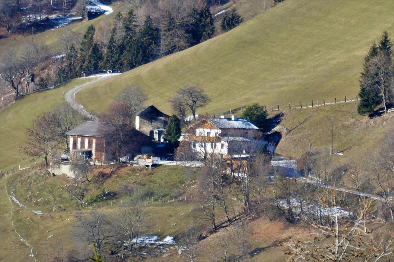 Appartement Haus Pleterski *