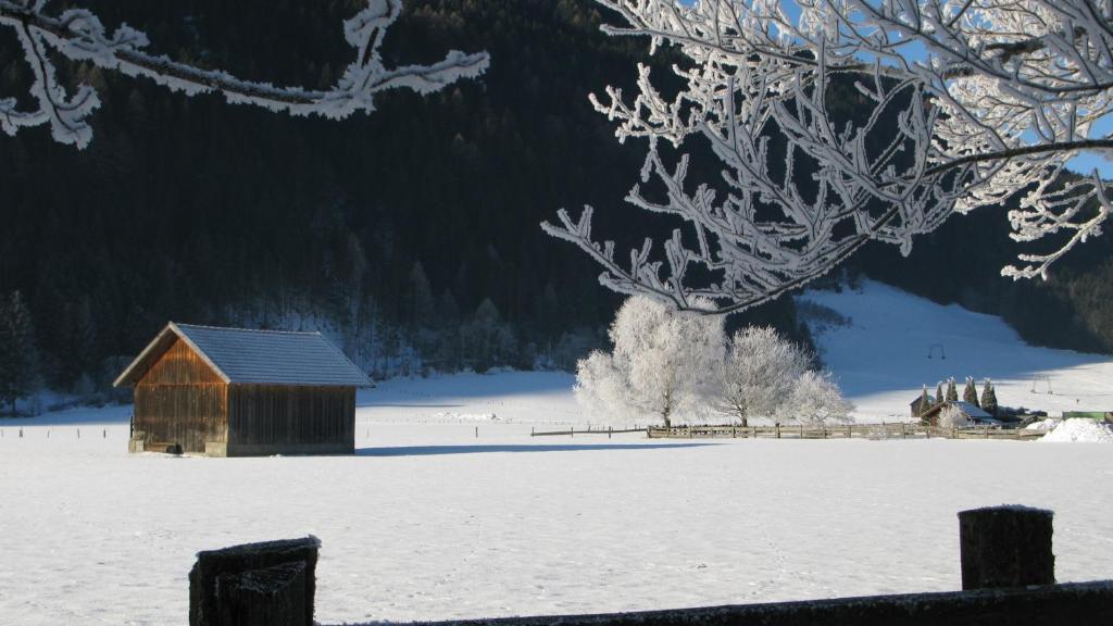 Haus Pleterski *
